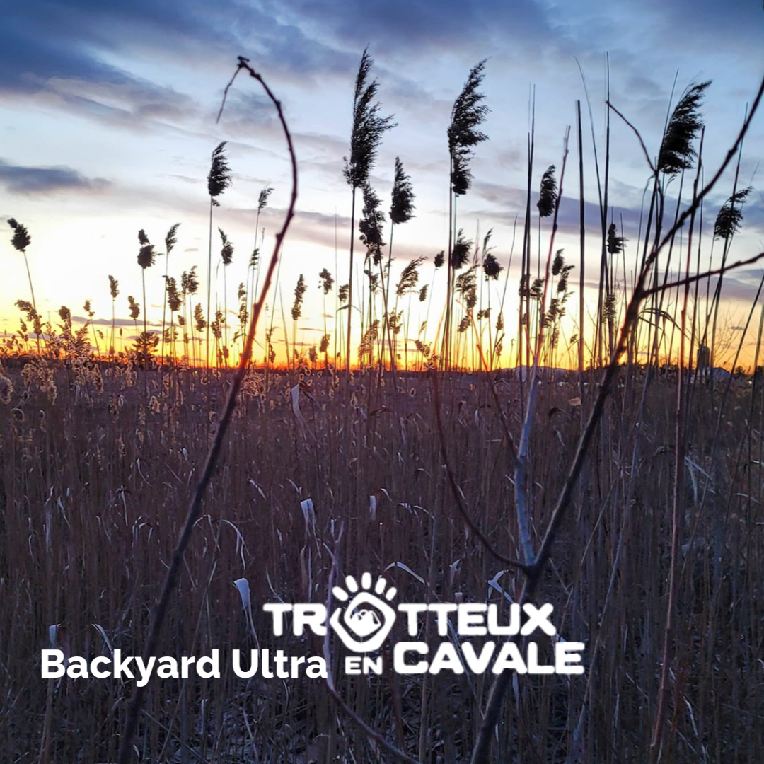 Backyard Ultra des Trotteux 2025