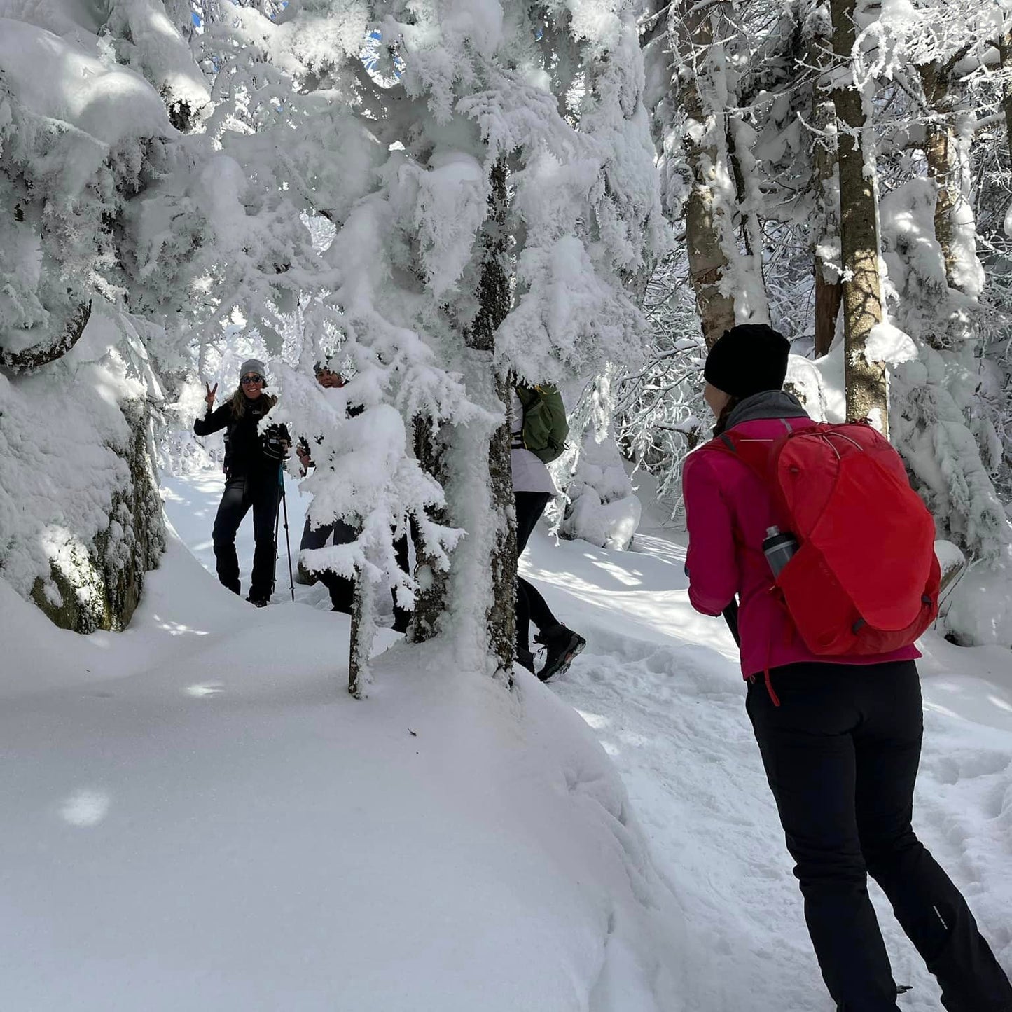 La Petite Ourse, refuge au coeur du Mont-Mégantic