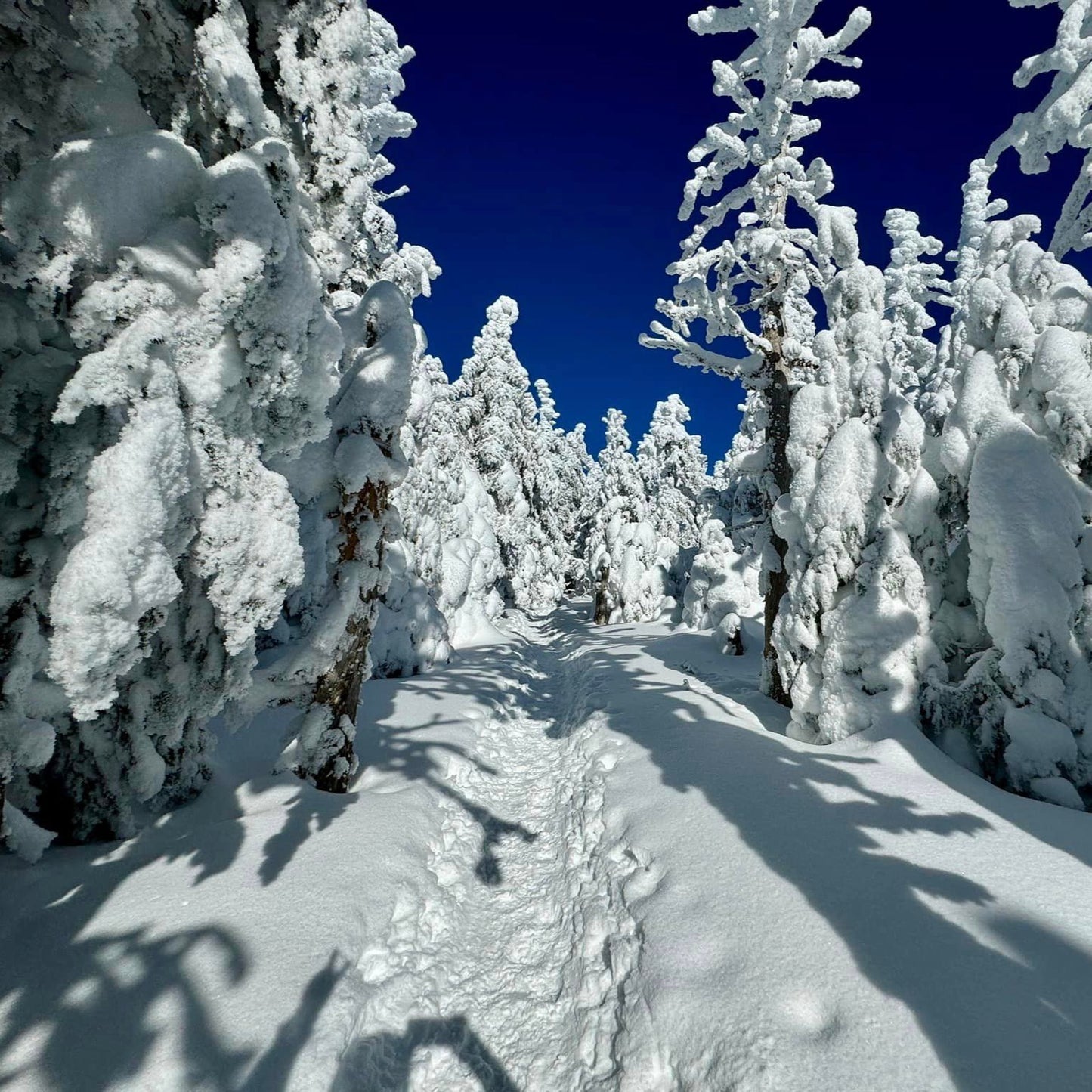 La Petite Ourse, refuge au coeur du Mont-Mégantic