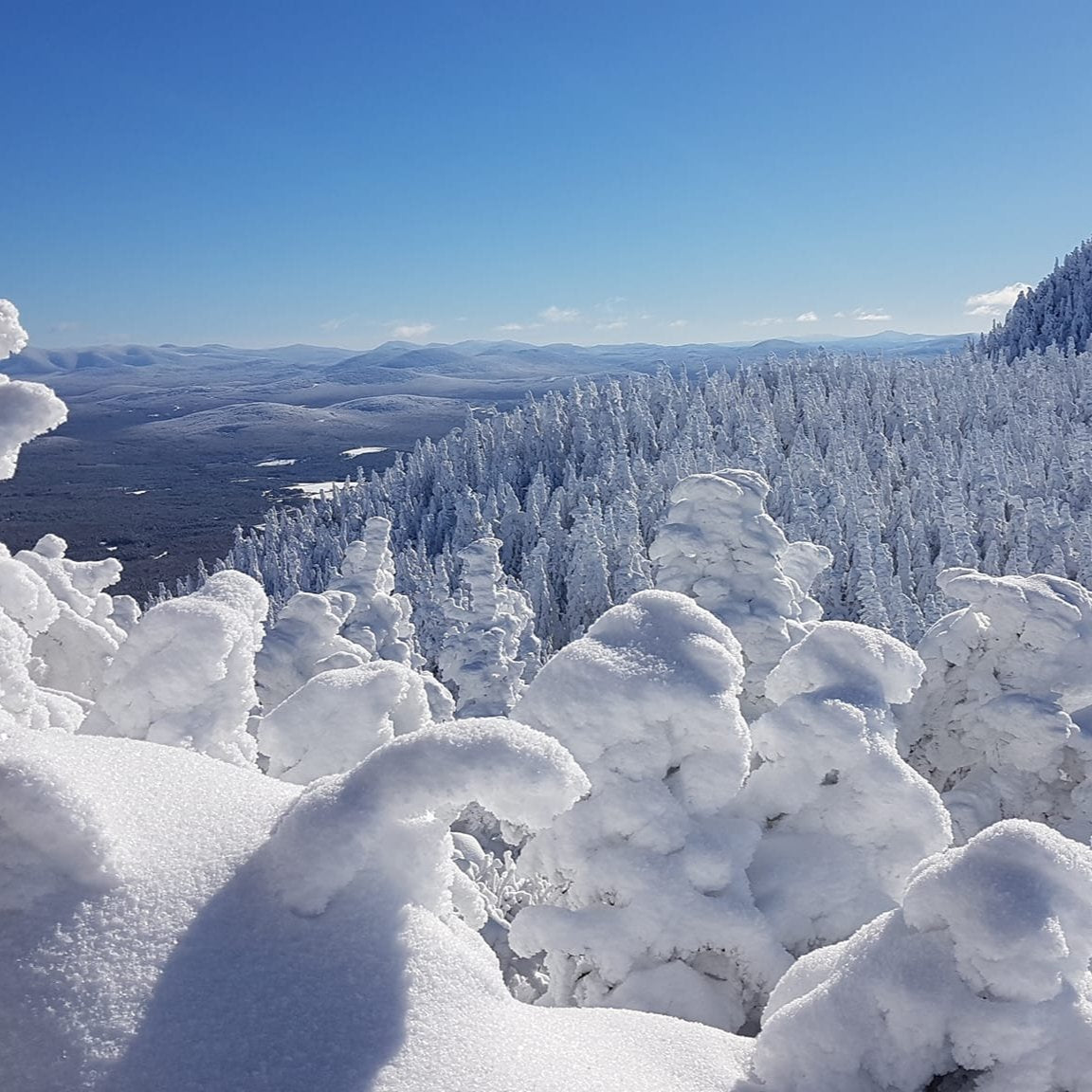 La Petite Ourse, refuge au coeur du Mont-Mégantic