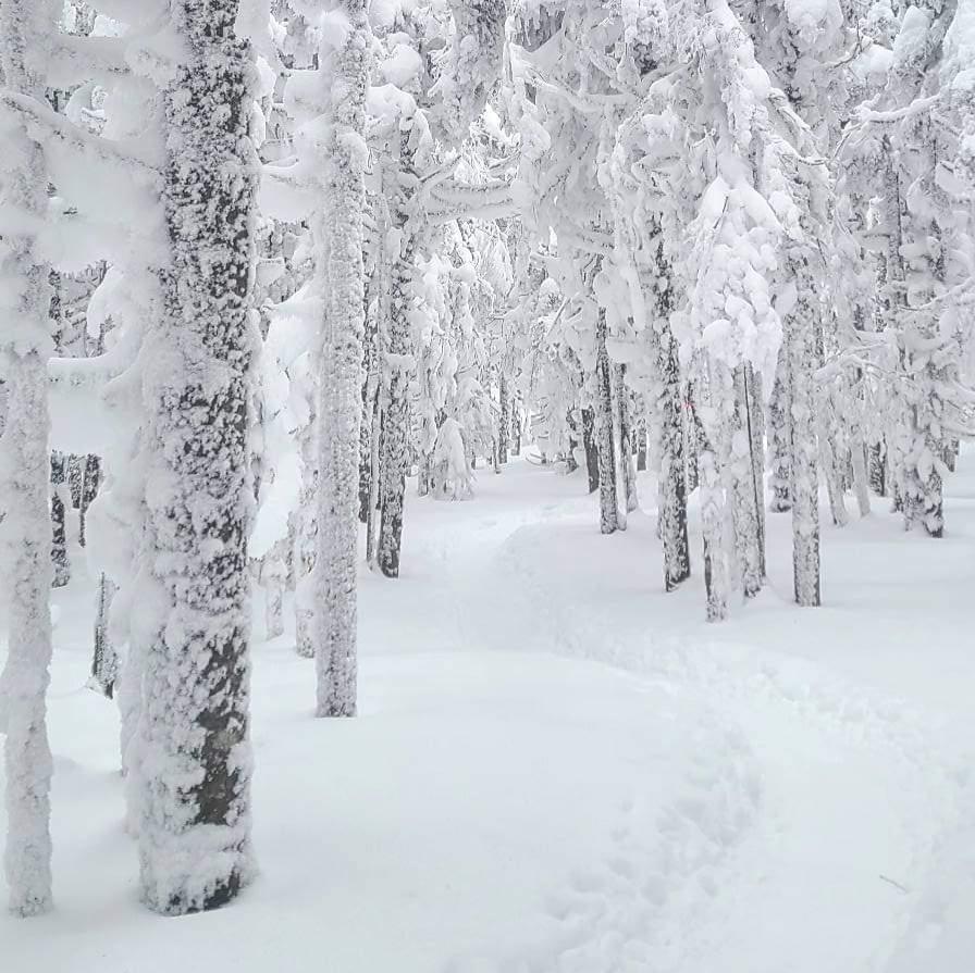 La Petite Ourse, refuge au coeur du Mont-Mégantic