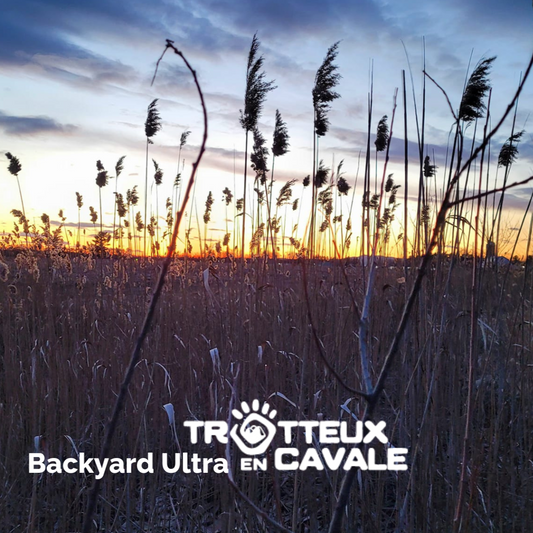 Backyard Ultra des Trotteux