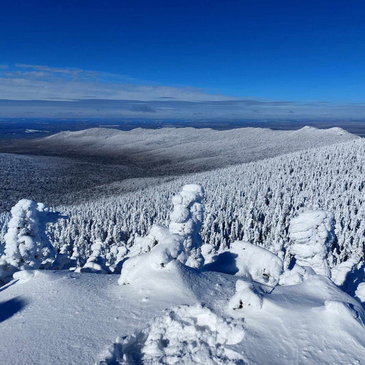 La Petite Ourse, refuge au coeur du Mont-Mégantic